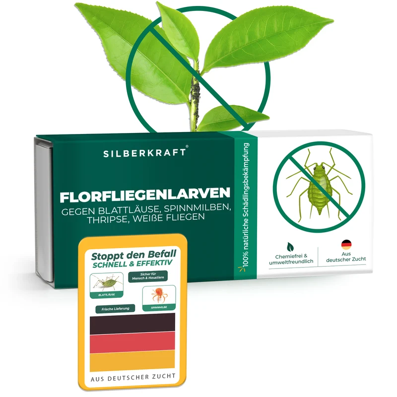Florfliegenlarven gegen Blattläuse, Spinnmilben, Thripse, weiße Fliegen