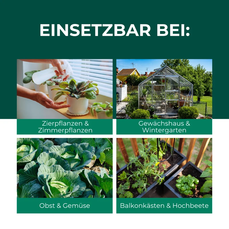 Florfliegenlarven gegen Blattläuse, Spinnmilben, Thripse, weiße Fliegen