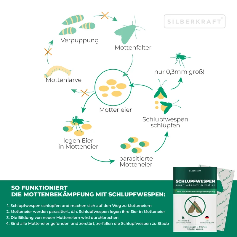 Schlupfwespen gegen Lebensmittelmotten - Motten mit Nützlinge bekämpfen (Trichogramma evanescens)