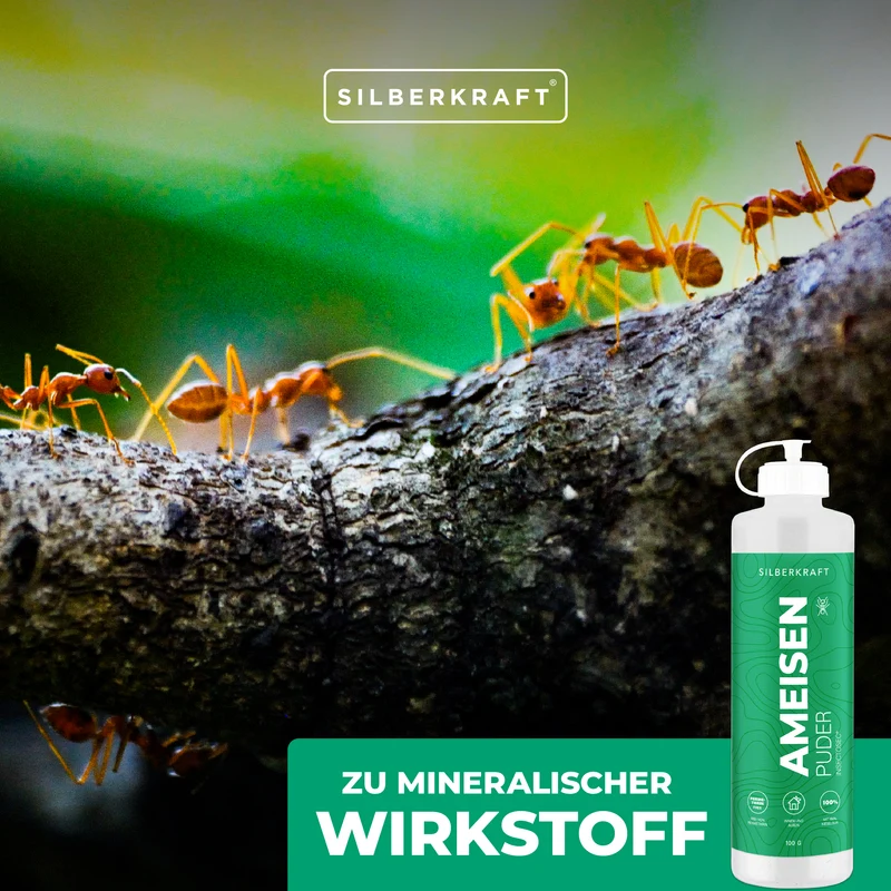Ameisen-frei Pulver – Ameisenmittel für Innen & Außen – 100% Kieselgur – Alternative zu Ameisenköder und Ameisenspray