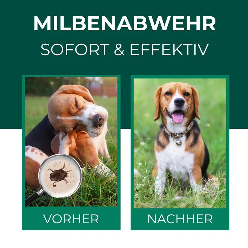Milbenspray für Hunde & Katzen
