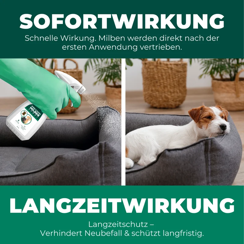Milbenspray für Hunde & Katzen