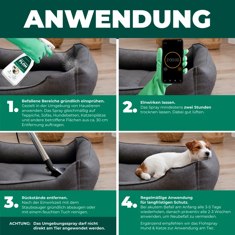 Flohspray für die Umgebung