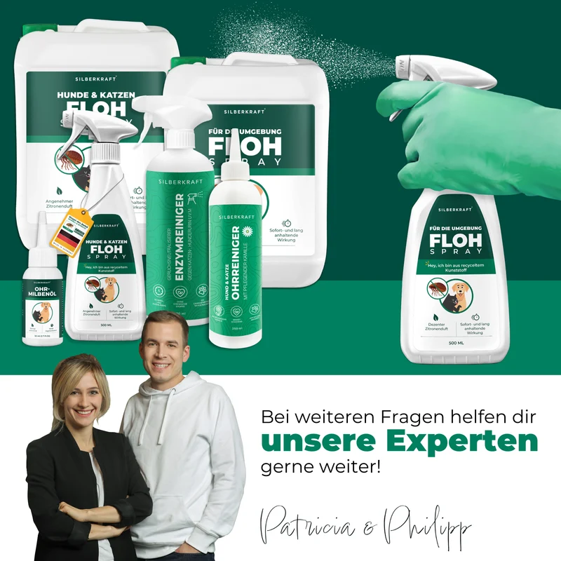 Flohspray für die Umgebung