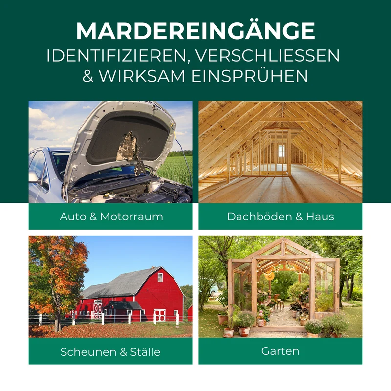 Marderspray