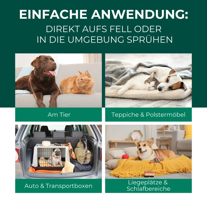 Grasmilben Ex Hund & Katze