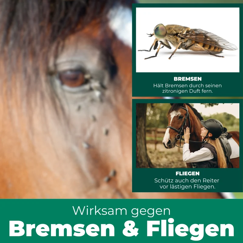 Bremsen-Spray für Pferde