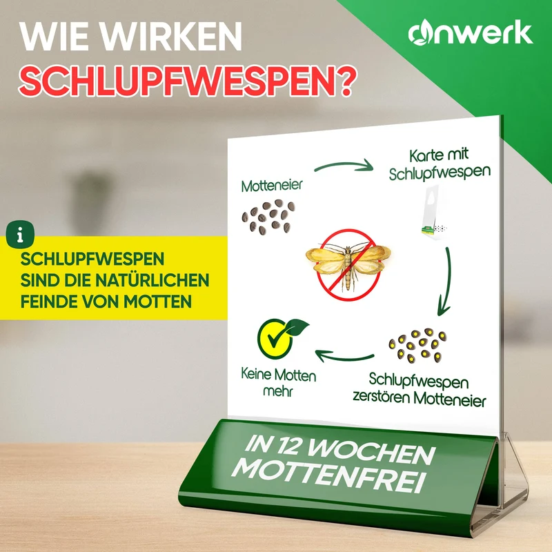 Schlupfwespen gegen Kleidermotten (Upsell)