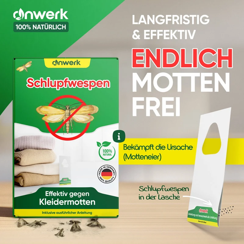 Schlupfwespen gegen Kleidermotten