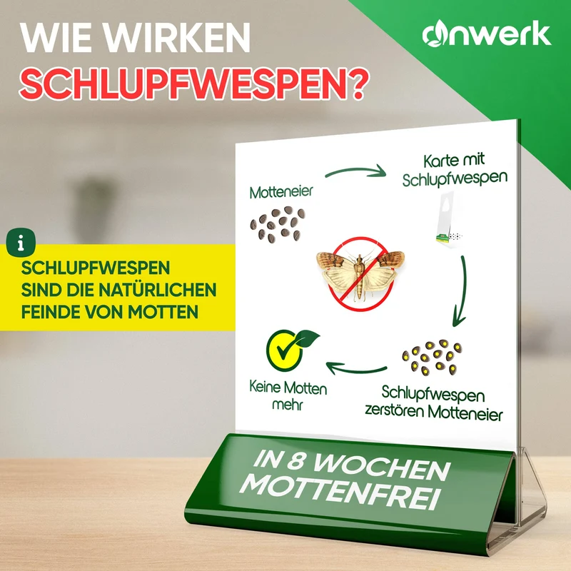 Schlupfwespen gegen Lebensmittelmotten