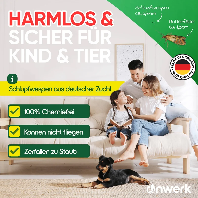 Schlupfwespen gegen Lebensmittelmotten
