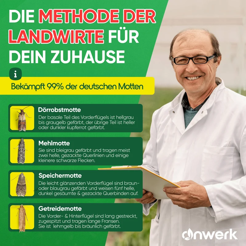 Schlupfwespen gegen Lebensmittelmotten