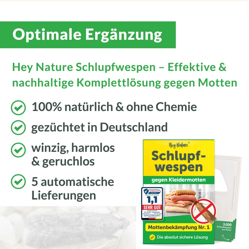 Mottenfalle gegen Kleidermotten