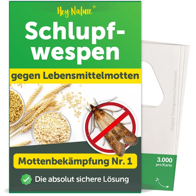 Schlupfwespen gegen Lebensmittelmotten