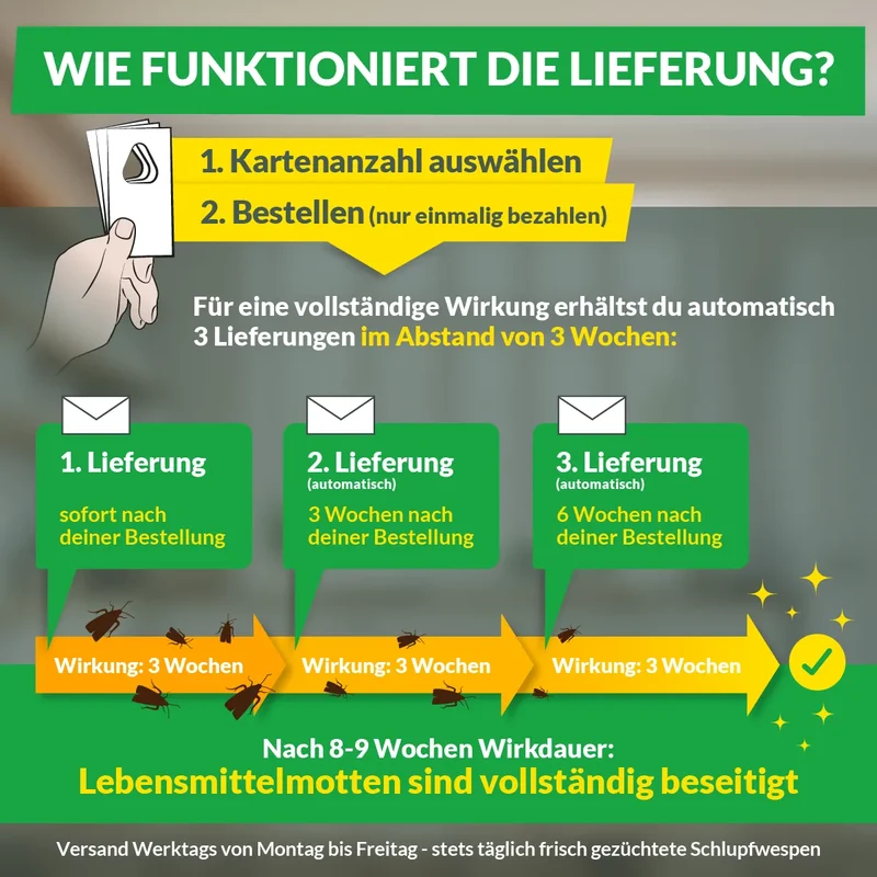 Schlupfwespen gegen Lebensmittelmotten