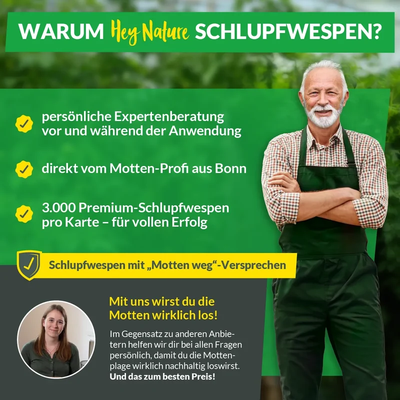 Schlupfwespen gegen Kleidermotten