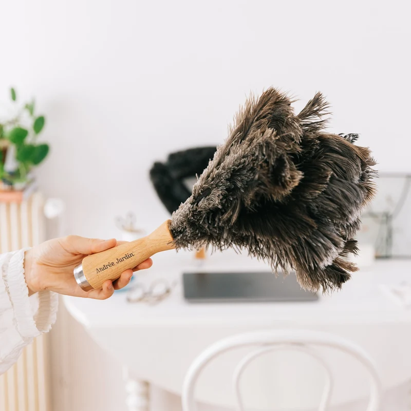 Telescopic duster