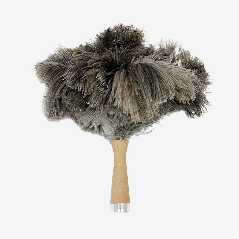 Telescopic duster