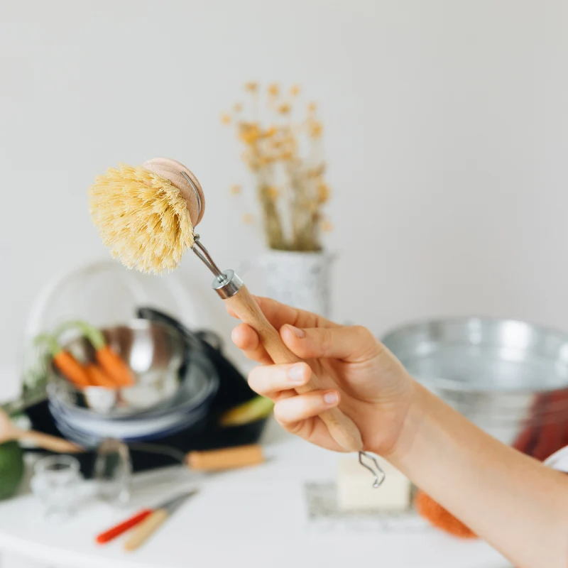 Dish brush with replaceable head