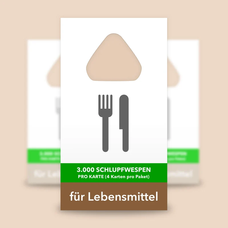 4 Karten Schlupfwespen gegen Lebensmittelmotten