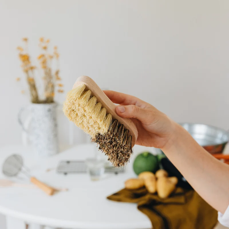 Household brush