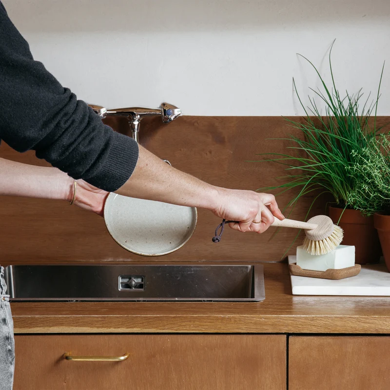 Dish brush
