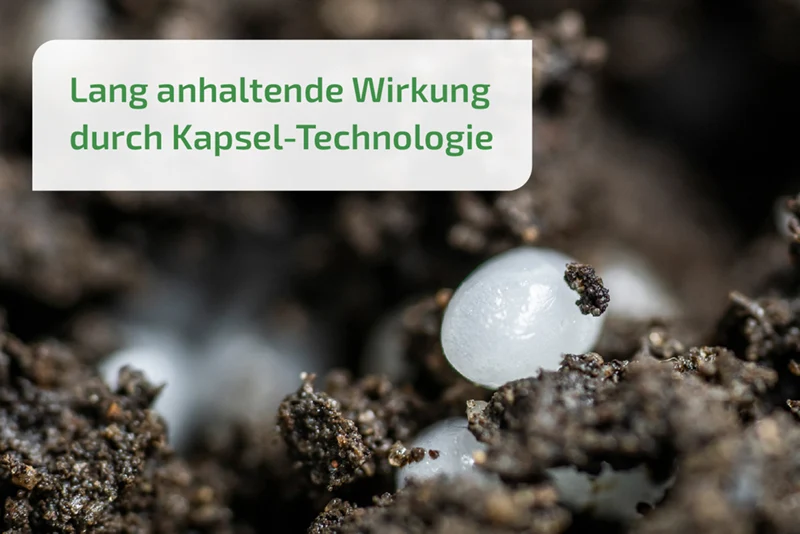 Nemaplus Depot - Nematoden gegen Trauermücken - in Alginat Kapseln für 10l Erde