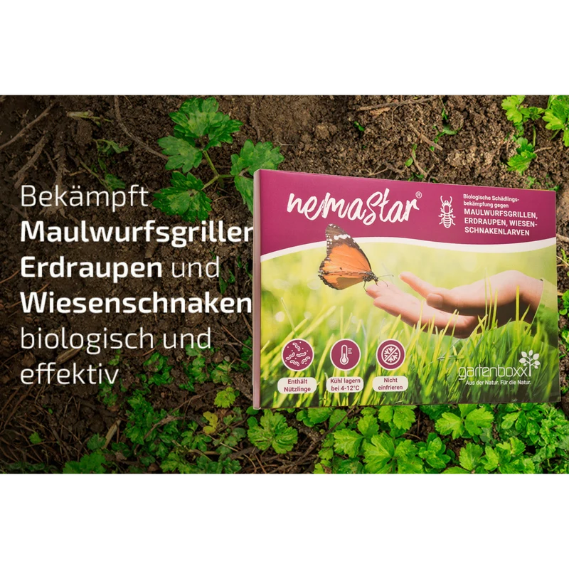 SET: Nemastar - Nematoden gegen Maulwurfsgrille und Wiesenschnake PLUS Aquanemix