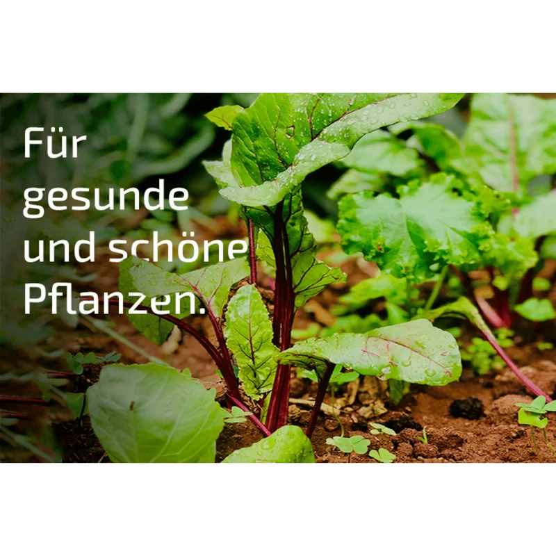 SET: Nemastar - Nematoden gegen Maulwurfsgrille und Wiesenschnake PLUS Aquanemix