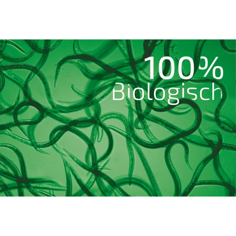 SET: Nematop - Nematoden gegen Dickmaulrüssler - PLUS Aquanemix - div. Varianten
