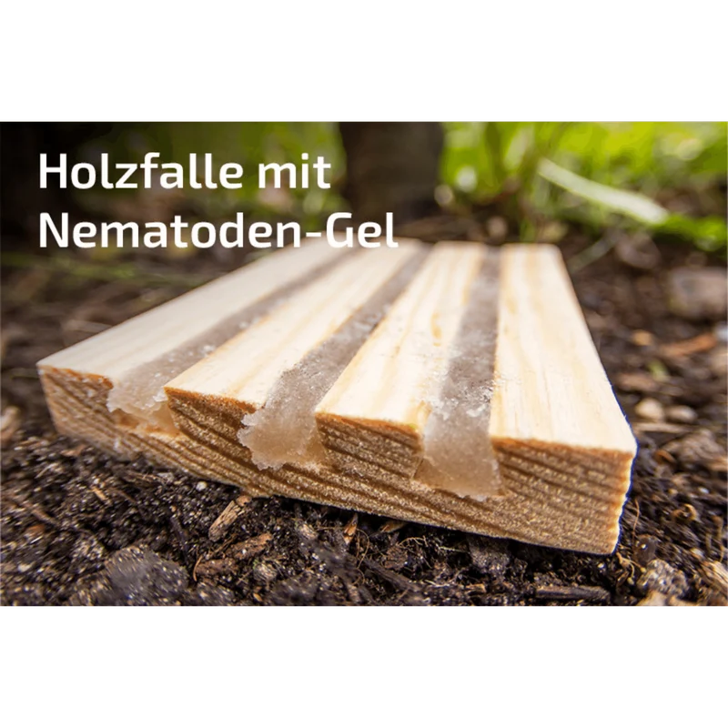 Nematop und nematop Käfer-Stopp geg. Dickmaulrüsslerlarven | SET für 20m²