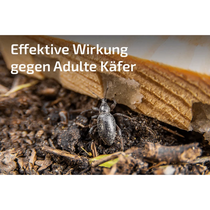 Nematop und nematop Käfer-Stopp geg. Dickmaulrüsslerlarven | SET für 20m²