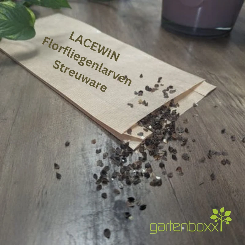 LACEWIN - Florfliegenlarven gegen Blattläuse | Streuware