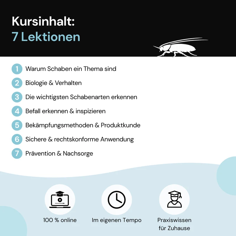 Fachkunde Basic: Schaben – Online-Schulung