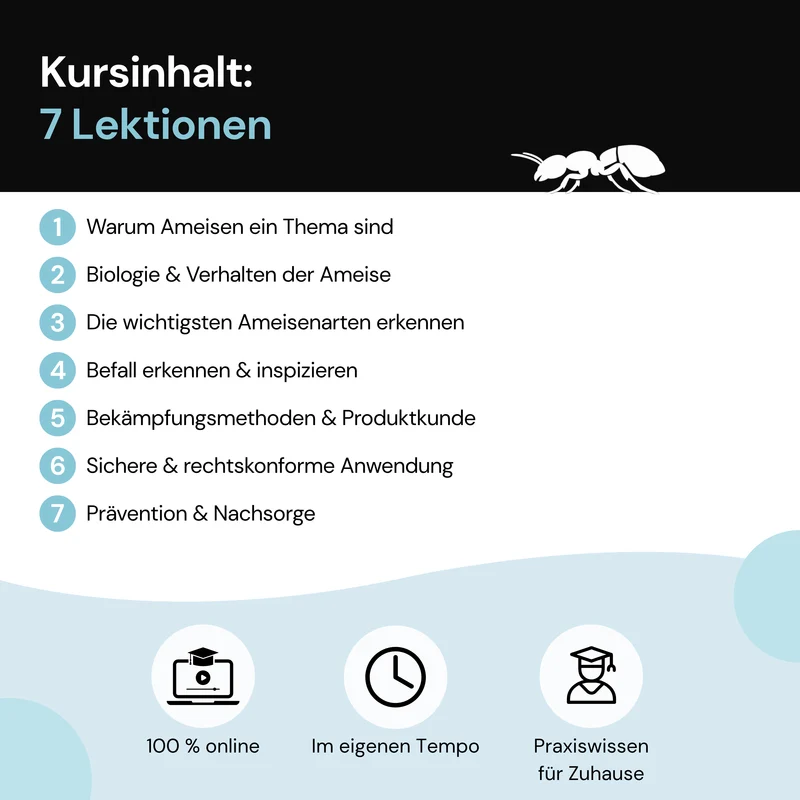 Fachkunde Basic: Ameisen – Online-Schulung