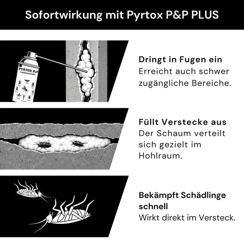 Pyrtox P&P PLUS Insektenschaum - 500 ml Dose