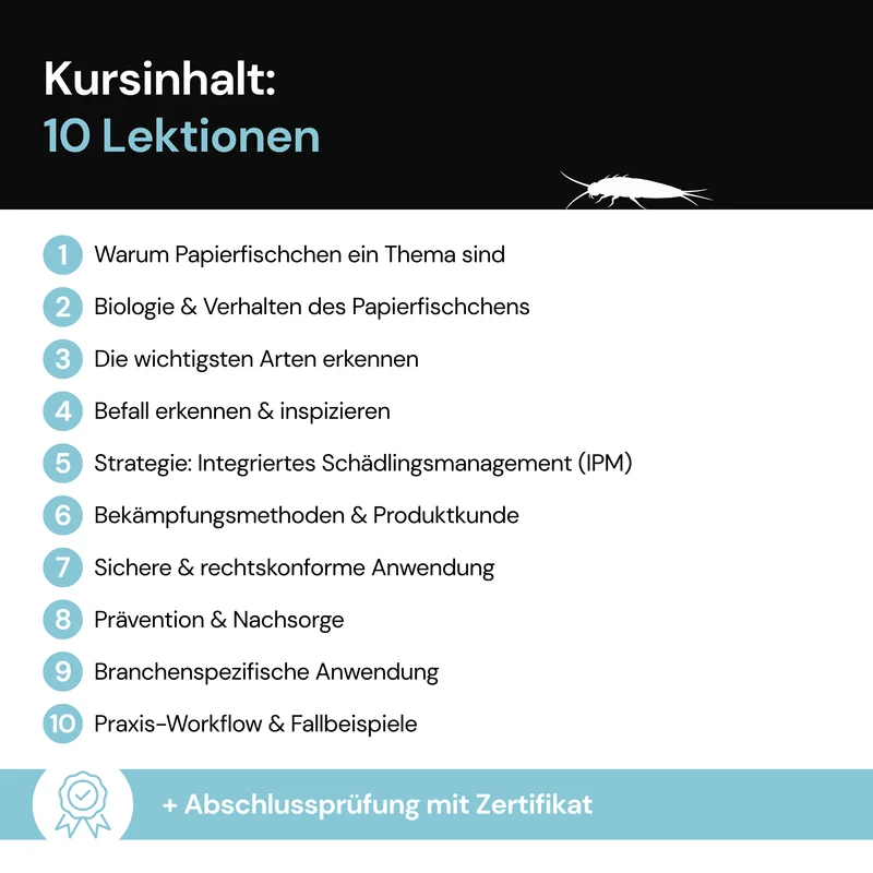 Fachkunde PRO: Papierfischchen – Online-Schulung mit Zertifikat