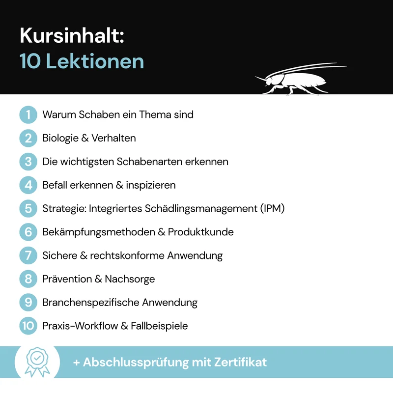 Fachkunde PRO: Schaben – Online-Schulung mit Zertifikat