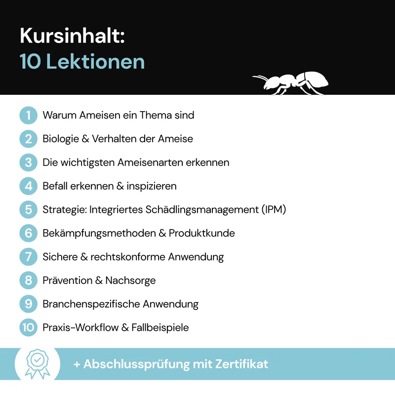 Fachkunde PRO: Ameisen – Online-Schulung mit Zertifikat