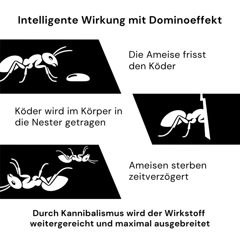 Advion Outcast Ameisengelköder - 1 Set (3 Stück á 4 g)