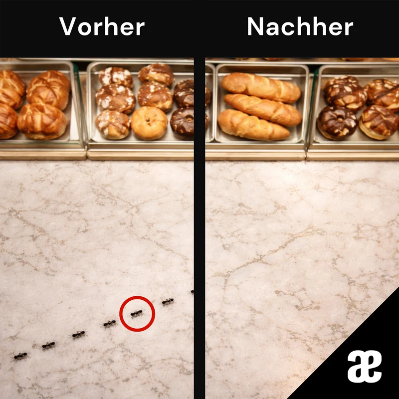 Advion Outcast Ameisengelköder - 1 Set (3 Stück á 4 g)