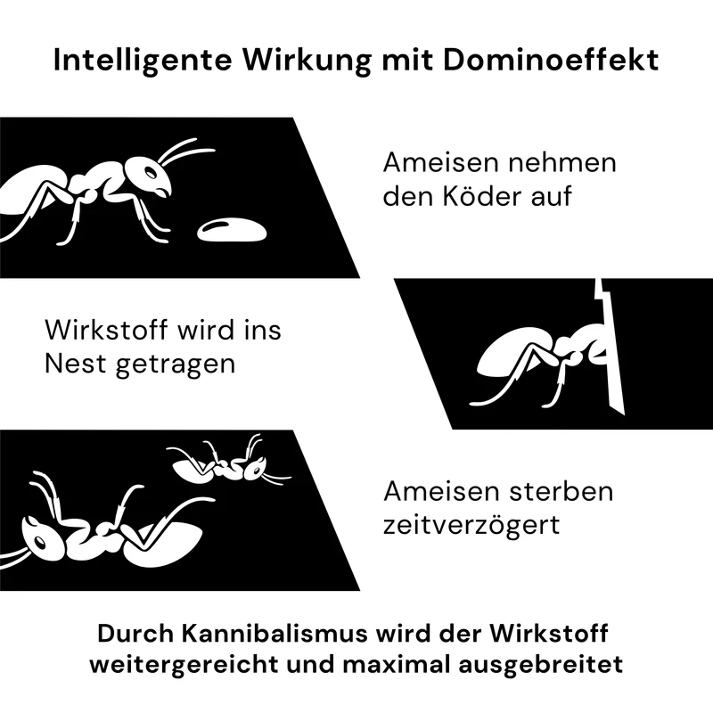 Impact Victor Ameisengel – 35 g Profi-Ködergel
