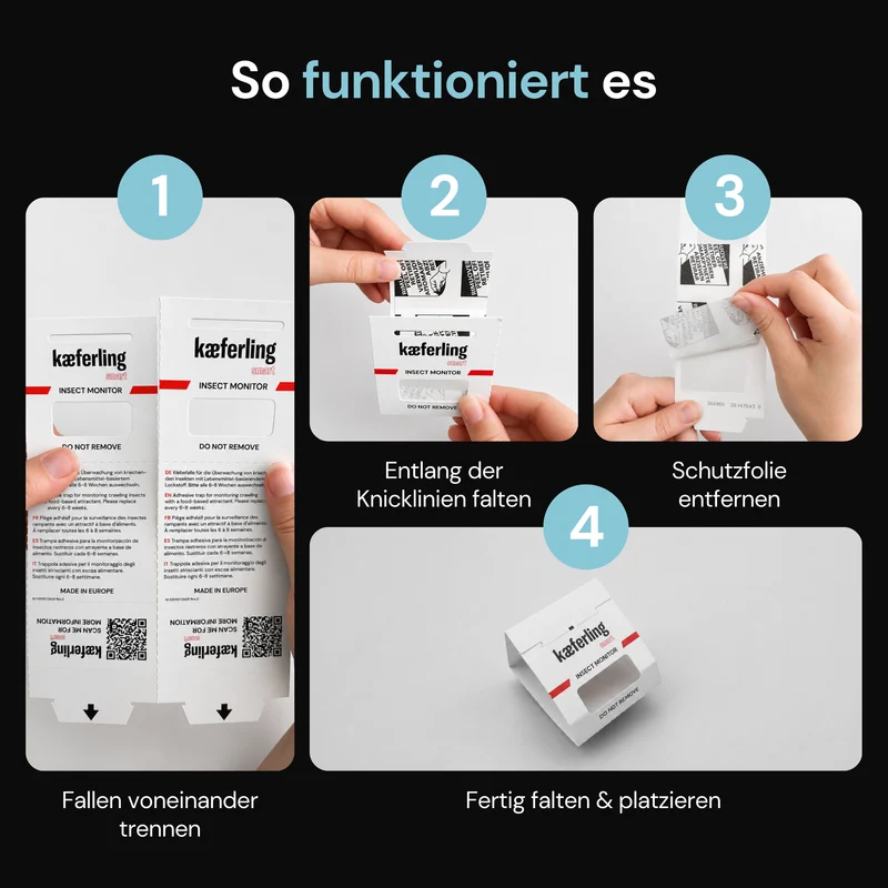 Kaeferling Smart Schabenfalle mit Lockstoff – 80 Klebefallen