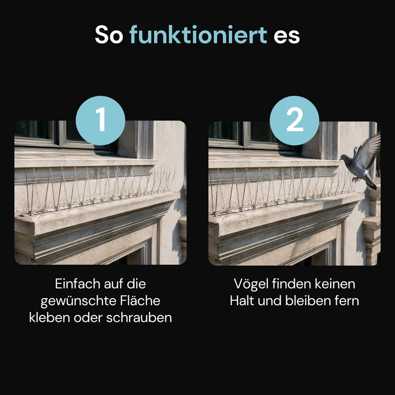 Taubenabwehr-Spikes 2-reihig in Silber aus Edelstahl – 1 m