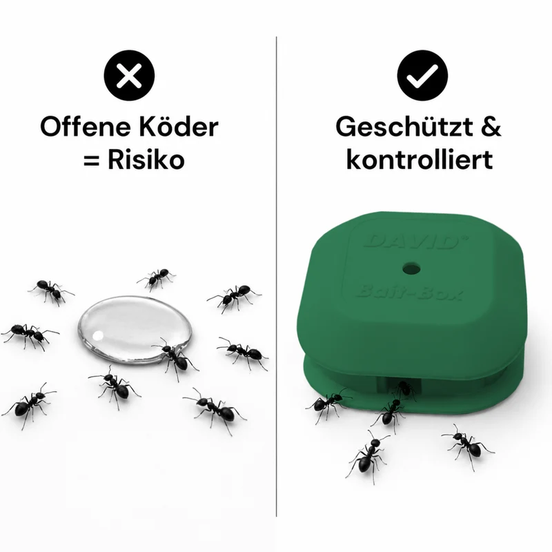 David® Leerköderdose in grün für Ameisen-Gel