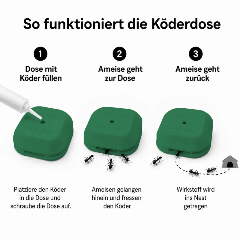 David® Leerköderdose in grün für Ameisen-Gel