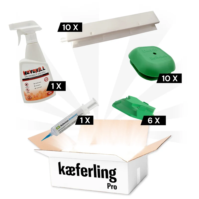 Kaeferling Pro Ameisen-Set