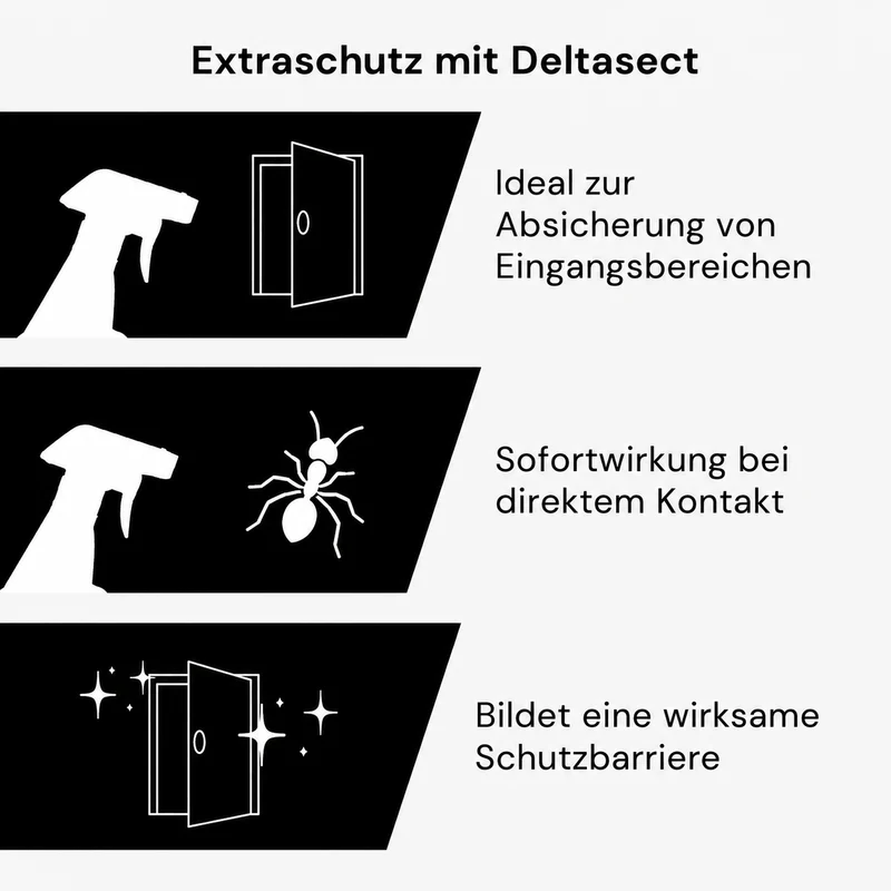 Kaeferling Pro Ameisen-Set