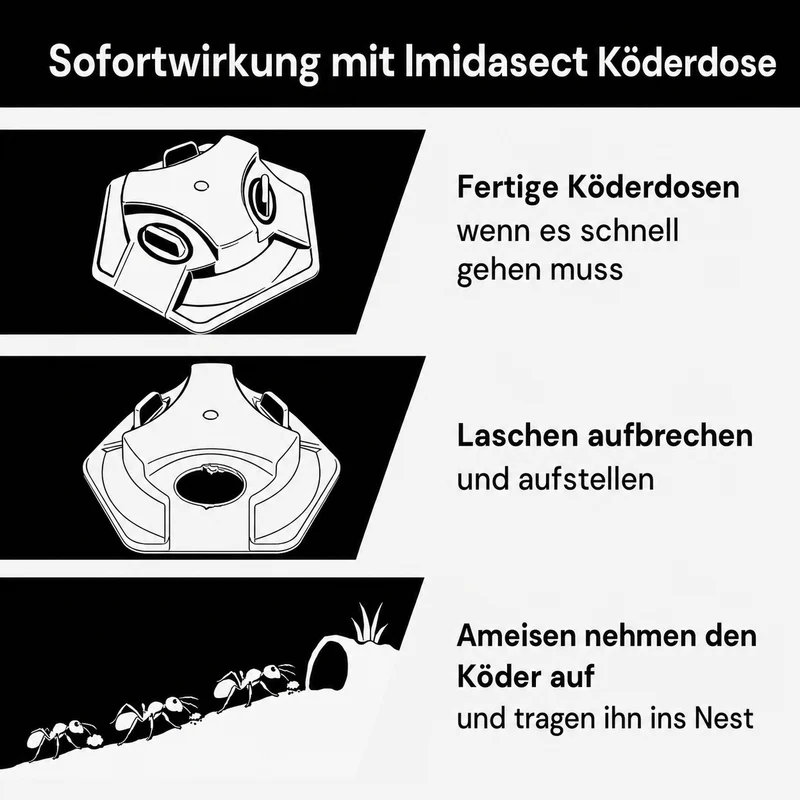 Kaeferling Pro Ameisen-Set