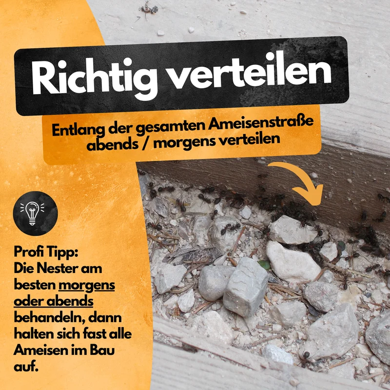 Ameisen Abwehr Pulver – 500 g – Für Innen & Außen – PT19 Repellent